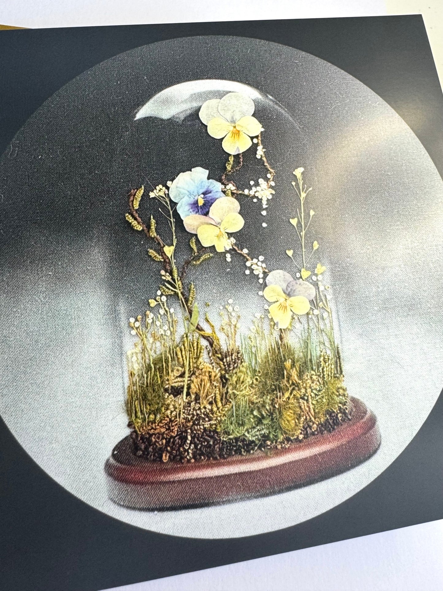 Terrarium Greeting Card