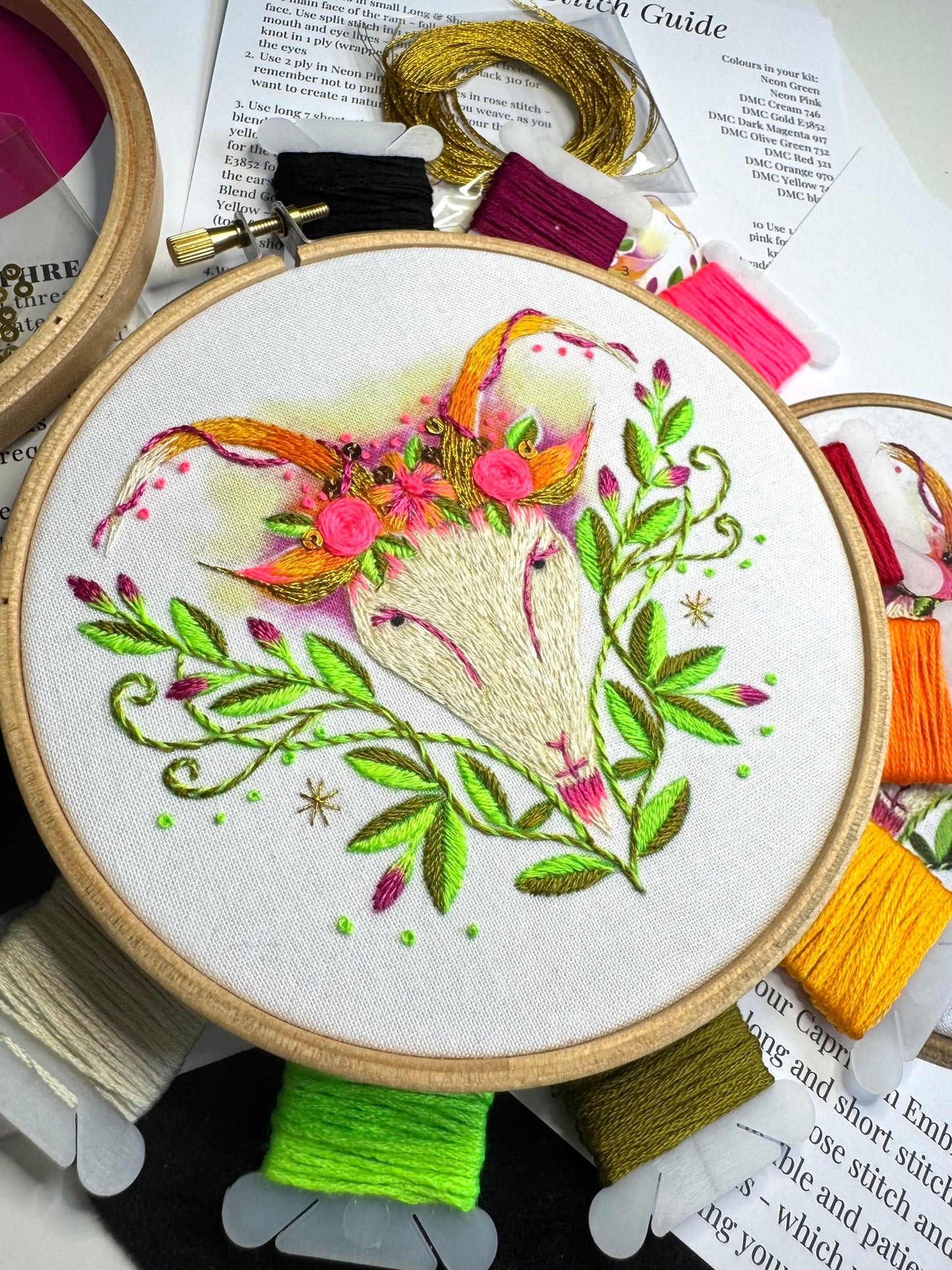 Capricorn Embroidery Kit