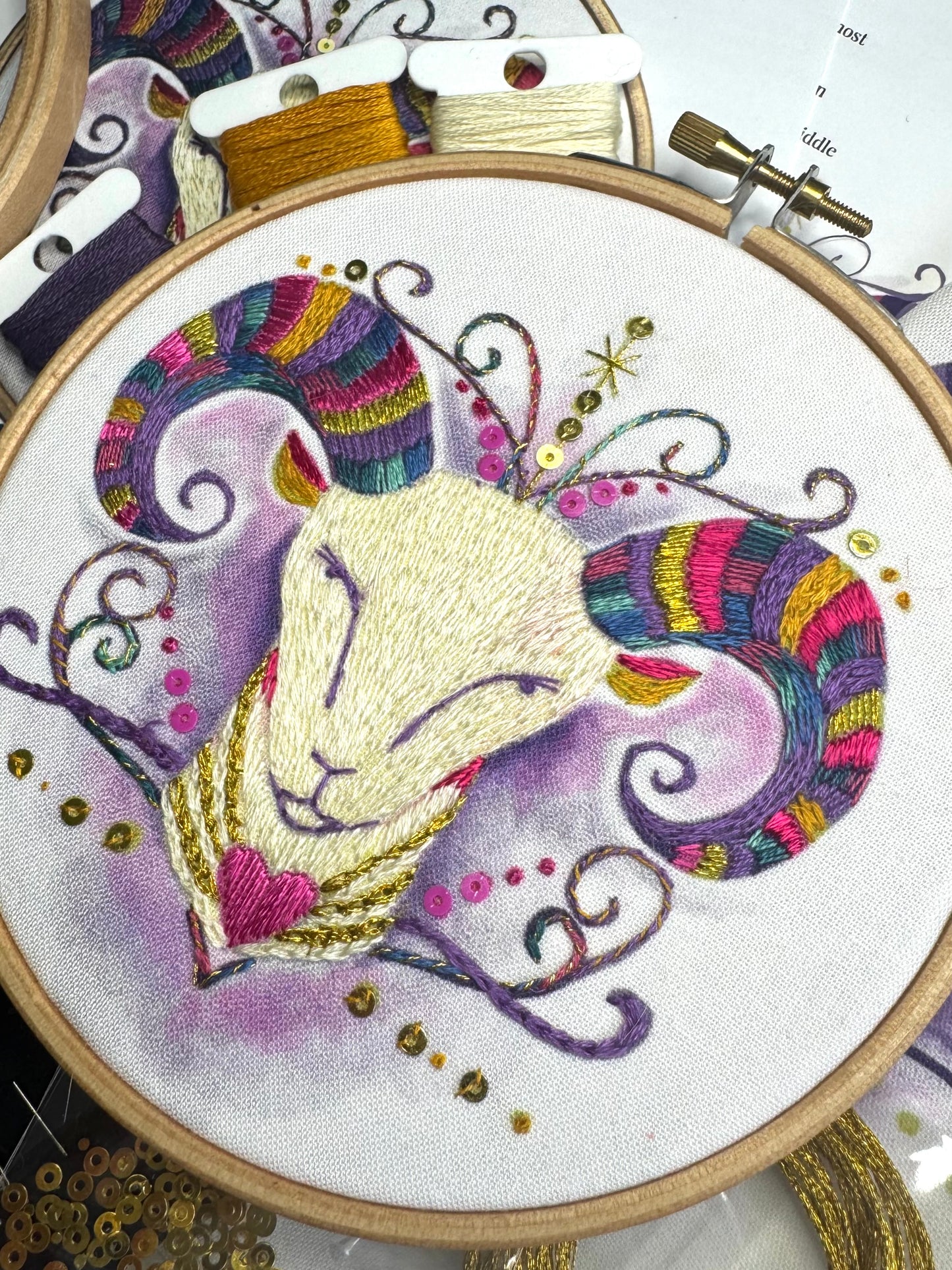 Aries Embroidery Kit