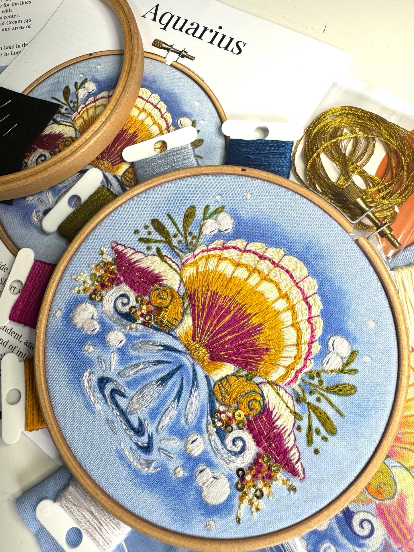 Aquarius Embroidery Kit
