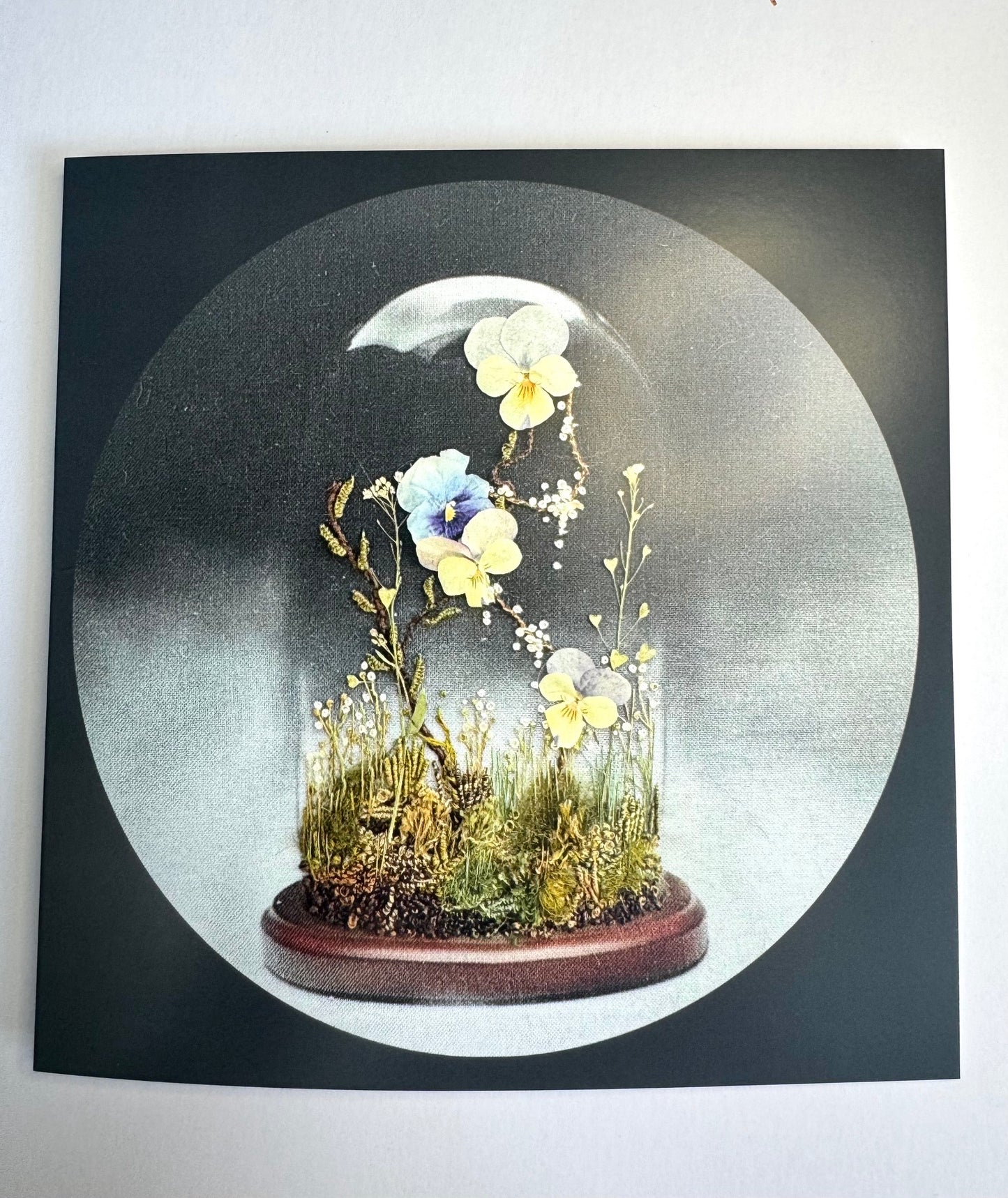 Terrarium Greeting Card