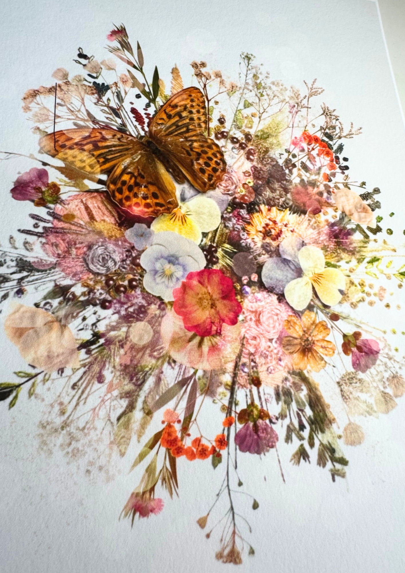 Limited Edition Butterfly Burst Art Print