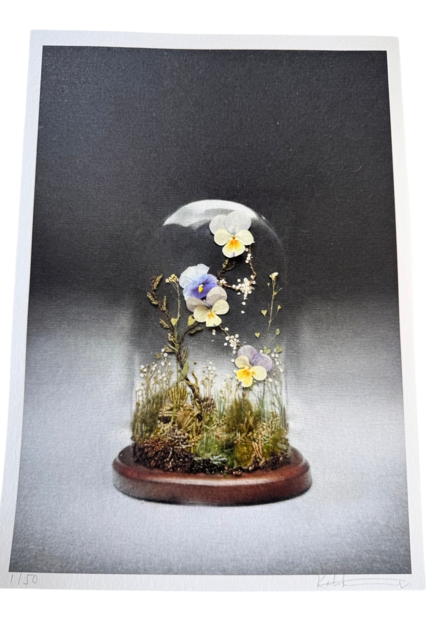Limited Edition Terrarium Art Print