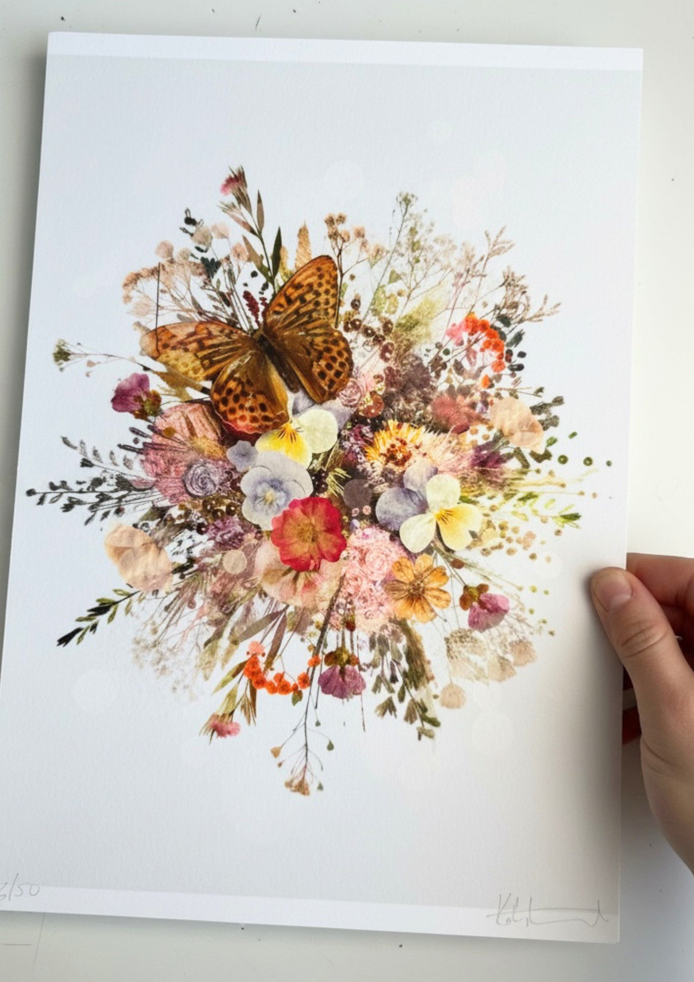 Limited Edition Butterfly Burst Art Print